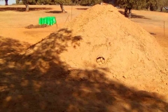 Horno