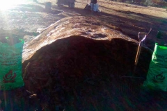 Horno apagado